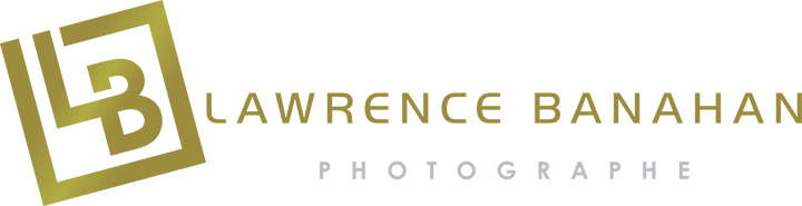 Work with me 6 Lawrence Banahan logo Estandar Work with me
